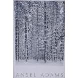 Ansel Adams, framed poster, 'Pine Forest', with blind stamp, 23" x 36"