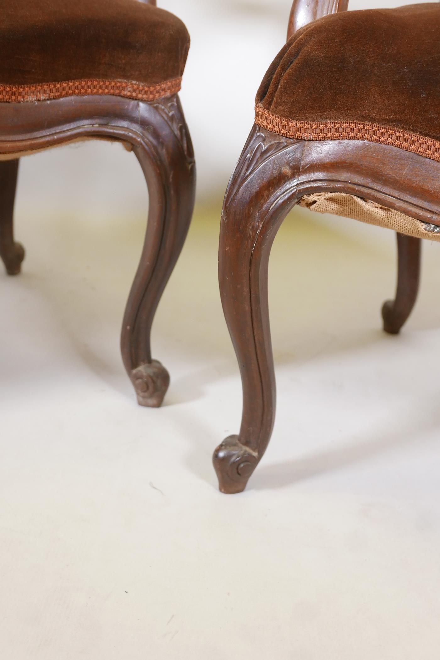 A pair of Continental walnut open armchairs on scroll feet with carved details, 38" high - Image 3 of 4