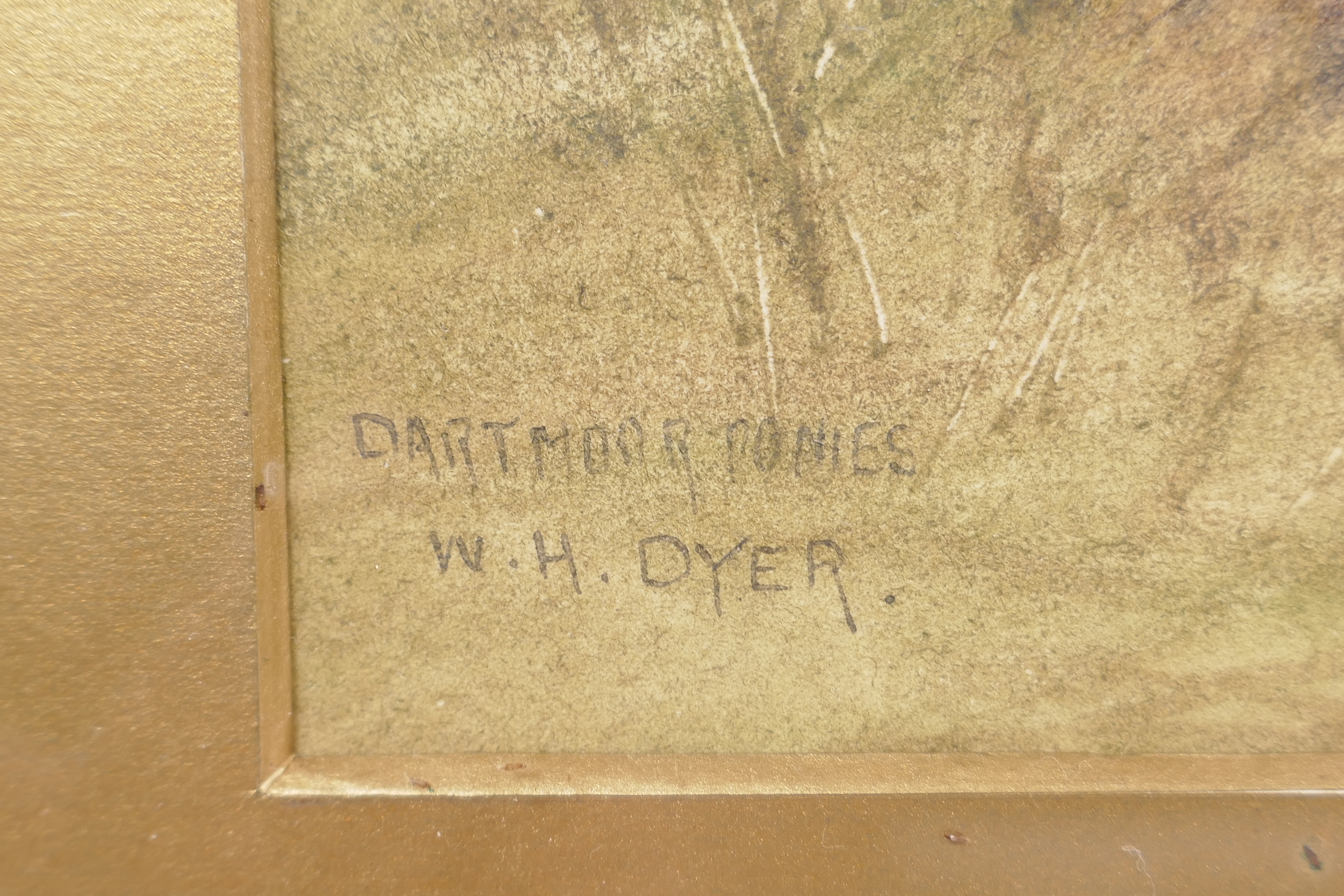 W.H. Dyer, moorland scene, inscribed on gallery label verso 'Dartmoor ponies', signed watercolour, - Image 3 of 5