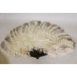 An early C20th ostrich feather fan with faux tortoiseshell blades, with original dilapidated box,