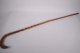 A bamboo walking cane with hallmarked 9ct gold ferule, 36" long