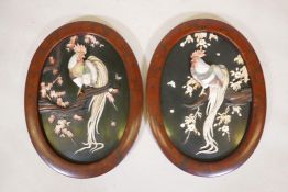 A pair of Meiji lacquered panels, with painted and gilt frames, the panels decorated with a pair