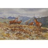 James B. Kinnes, Red Deer Stags, Letterewe & Fisherfield Forest, Rosshire, 1990, watercolour, signed