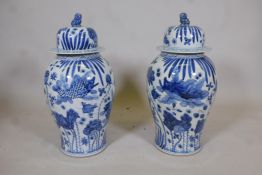 A pair of Chinese blue and white porcelain meiping jar and covers, decorated with carp in a lotus