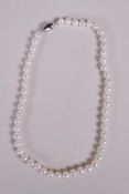 A pearl necklace with a 925 silver clasp, 16" long