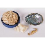 Four marine collectables, an abalone shell, seahorse, Madagascar shell and one other