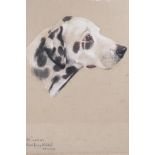 Phyllis Bimet, portrait of a hound, 'Belle', (Duxfordham Lucy Nobbs), monogrammed, pastel, 15" x 13"