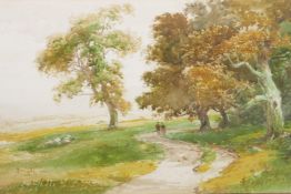 C. Goddard (British, C19th), 'A rural woodland scene', signed lower right, watercolour, 8" x 22"