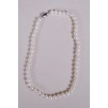 A pearl necklace with a 925 silver clasp, 16" long