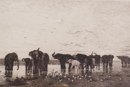 After Ch.E. Tournemine, Elephants d'Afrique, engraved by Leon Gaucherel, 14" x 8"