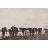 After Ch.E. Tournemine, Elephants d'Afrique, engraved by Leon Gaucherel, 14" x 8"