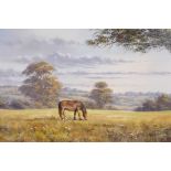 Alan Morgan, Welsh, 'Grazing Meadow', rural landscape, titled verso, oil on canvas, 20" x 16"
