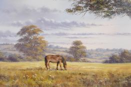 Alan Morgan, Welsh, 'Grazing Meadow', rural landscape, titled verso, oil on canvas, 20" x 16"