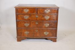 A Queen Anne walnut chest of two over three drawers, with pierced brass plate handles, raised on