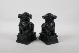 A pair of Chinese black soapstone carvings of temple lions, 6" high