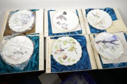 Six Royal Worcester collectors plates from the Birds of Dorothy Doughty series, 9" diameter, with