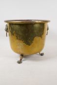 A C19th polished brass jardiniere with lion mask handles and three paw feet, 9" high