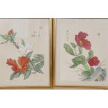A pair of Chinese watercolours on silk of exotic flowers, signed with script and seal marks, 9" x