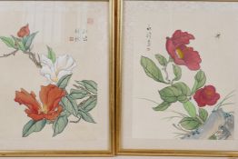 A pair of Chinese watercolours on silk of exotic flowers, signed with script and seal marks, 9" x