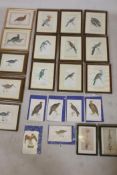 A set of nine coloured lithographic prints, ornithological studies, 7" x 4", and eleven others