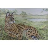Savannah cat in an African landscape, signed with a monogram MCE, watercolour, A/F, 12" x 11"