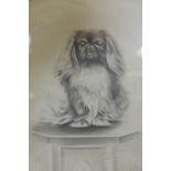 H.W. Hellings, portrait of a Pekinese dog, signed and dated 1917, pencil drawing, 9" x 6"