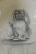 H.W. Hellings, portrait of a Pekinese dog, signed and dated 1917, pencil drawing, 9" x 6"