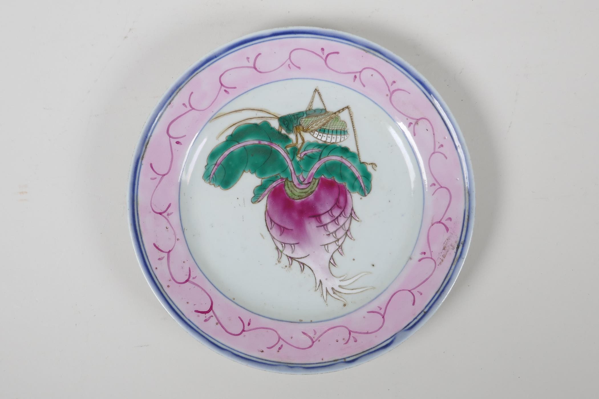 A late C19th/early C20th famille rose porcelain cabinet plate decorated with a radish and cricket,