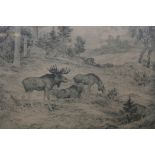 Axel Osterberg, (Swedish, C19th), moose grazing, etching signed in pencil, 19" x 14"