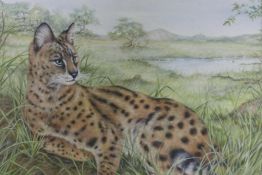 Savannah cat in an African landscape, signed with a monogram MCE, watercolour, A/F, 12" x 11"