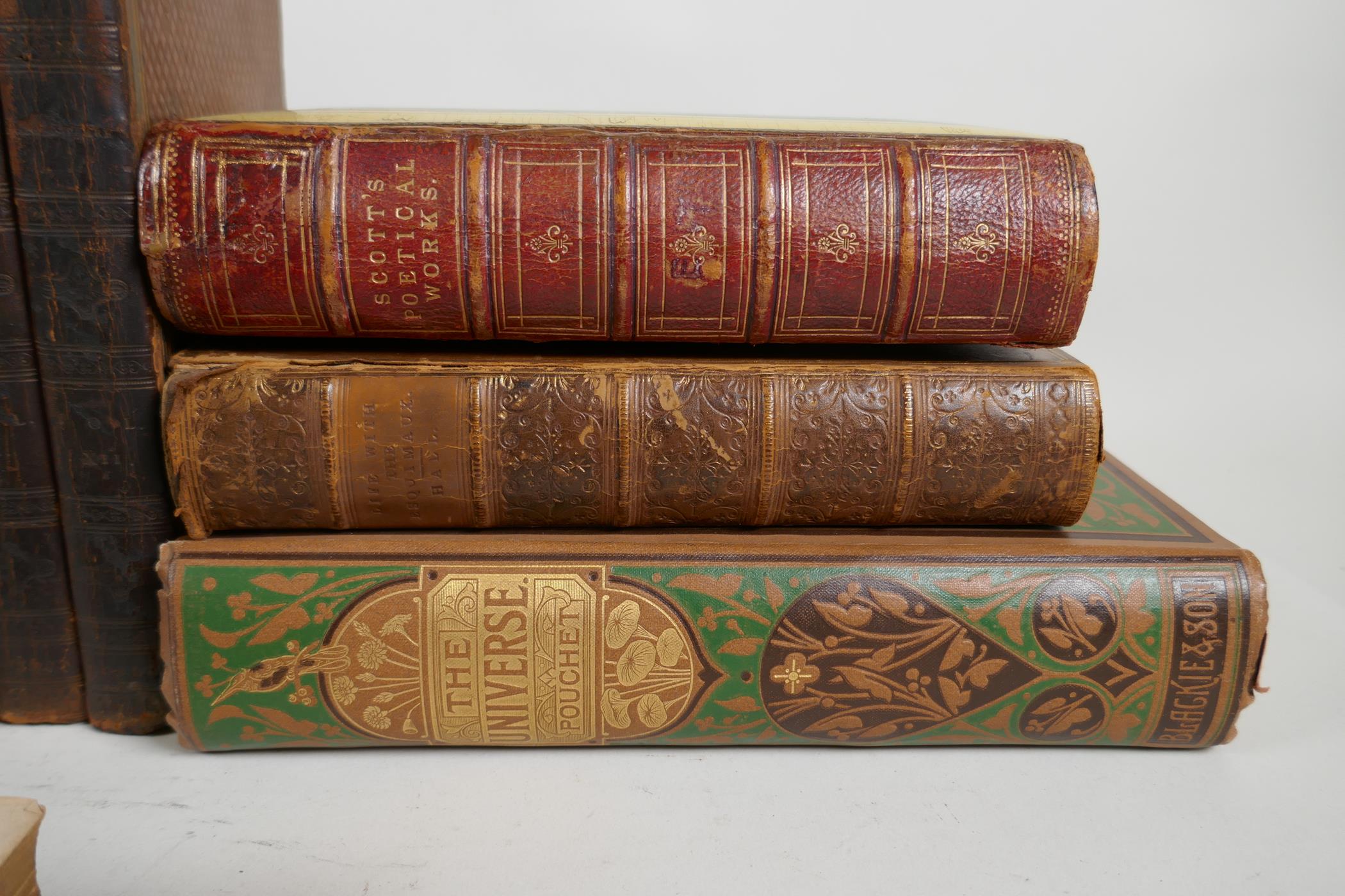 The Dramatic works of William Shakespeare, stereotype edition, Vol 1-12, early C19th leather bound - Image 9 of 9