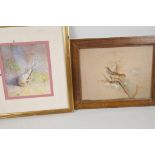 A C19th watercolour of a finch on a branch, 12" x 9",  and another of a dead bird, signed L Haynes