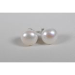 A pair of large freshwater pearl stud earrings on 925 silver posts