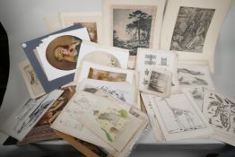 A large quantity of prints and engravings, unframed, various subjects