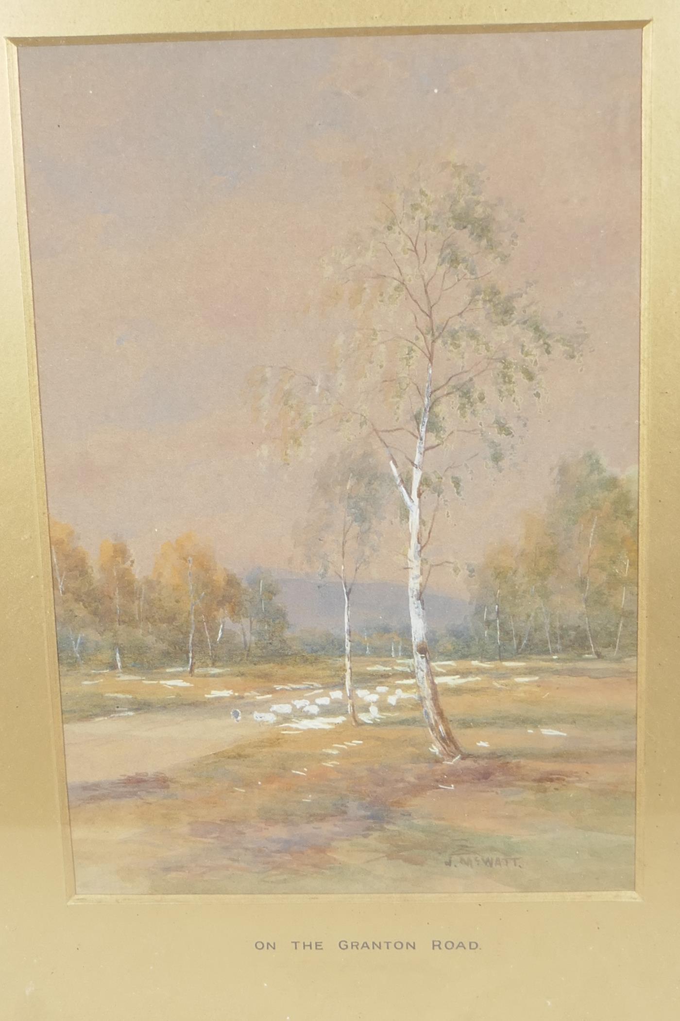 W.M Watt, watercolour, silver birch trees in a landscape, signed, titled on mount "On the Grafton - Image 2 of 4