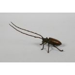 A Japenese Jizai style bronze insect with articulated limbs, antenna & carapace, 5½" long