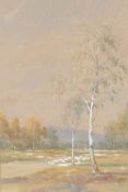 W.M Watt, watercolour, silver birch trees in a landscape, signed, titled on mount "On the Grafton