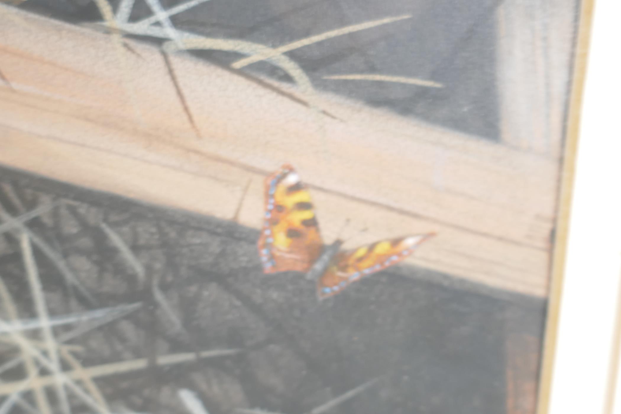 S.P. Shotter, barn roof with a bird and butterfly, signed and dated 1983, watercolour, 12" x 16" - Image 3 of 5