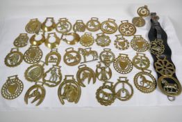 A quantity of various horse brasses