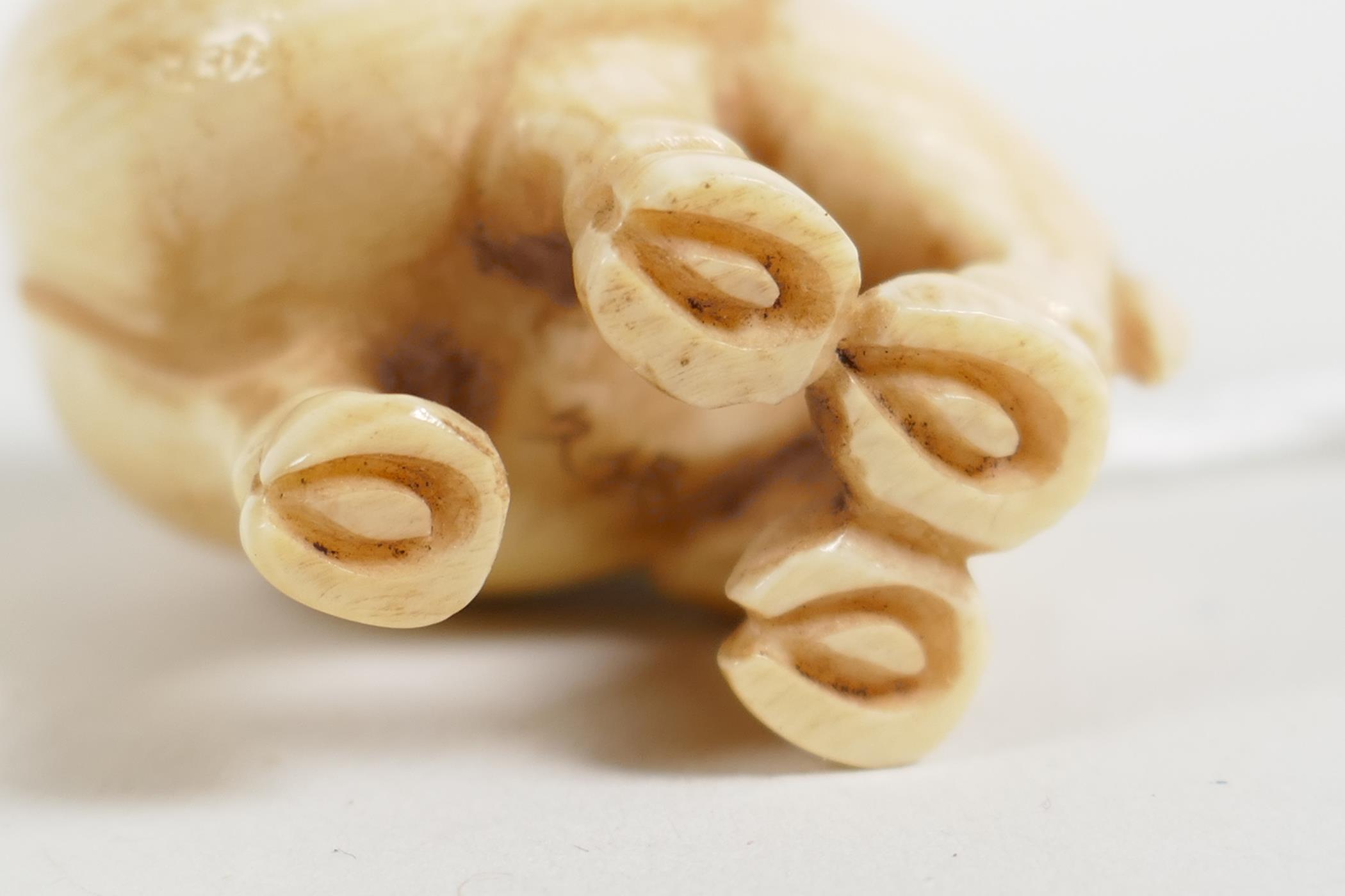 A C19th Japanese carved ivory ram netsuke, signed to base, 1½" - Image 4 of 5