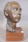 Painted plaster bust, head of a young man, on a wood plinth, 16" high