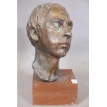 Painted plaster bust, head of a young man, on a wood plinth, 16" high