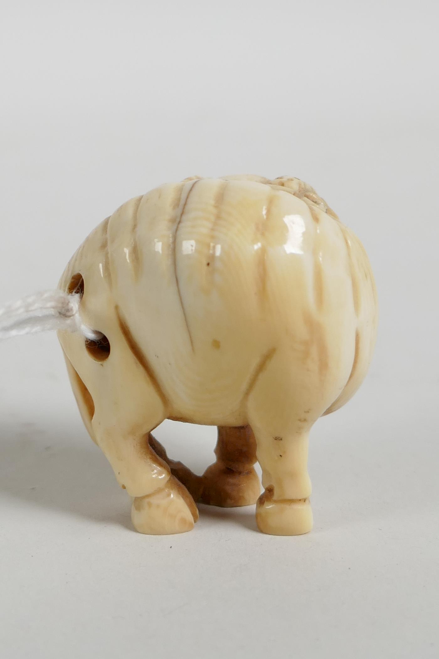 A C19th Japanese carved ivory ram netsuke, signed to base, 1½" - Image 3 of 5