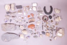 The contents of a curiosity cabinet, fossils, neolithic flints, geodes, Roman and Greek pottery