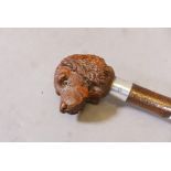 An antique walking stick, the wood handle carved in the form of a Spaniel's head, with glass eyes,