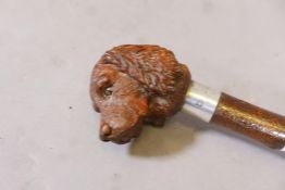 An antique walking stick, the wood handle carved in the form of a Spaniel's head, with glass eyes,