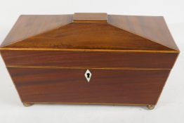 A C19th sarcophagus shaped mahogany tea caddy with satinwood stringing on brass feet with two lead