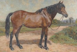Murray McNeal Caird Urquhart, Scottish, Molly-1923, study of a horse, oil on canvas, 24" x 20"