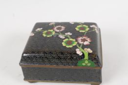 An Oriental cloisonne trinket box, decorated with prunus blossoms on a black ground. 3½" x 3" x 2"