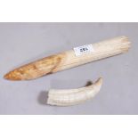 An antique walrus tusk, 11" high, and another smaller